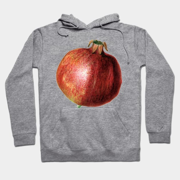 Pomegranate Hoodie by Slightly Unhinged